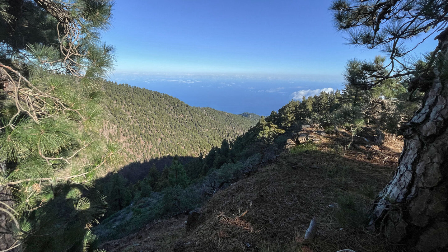 Ausblick über die Schlucht Barranco de los Gallegos