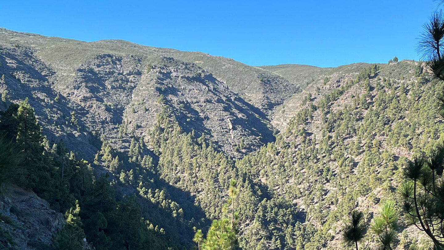 Beginn des Barranco de los Gallegos in den Höhenlagen