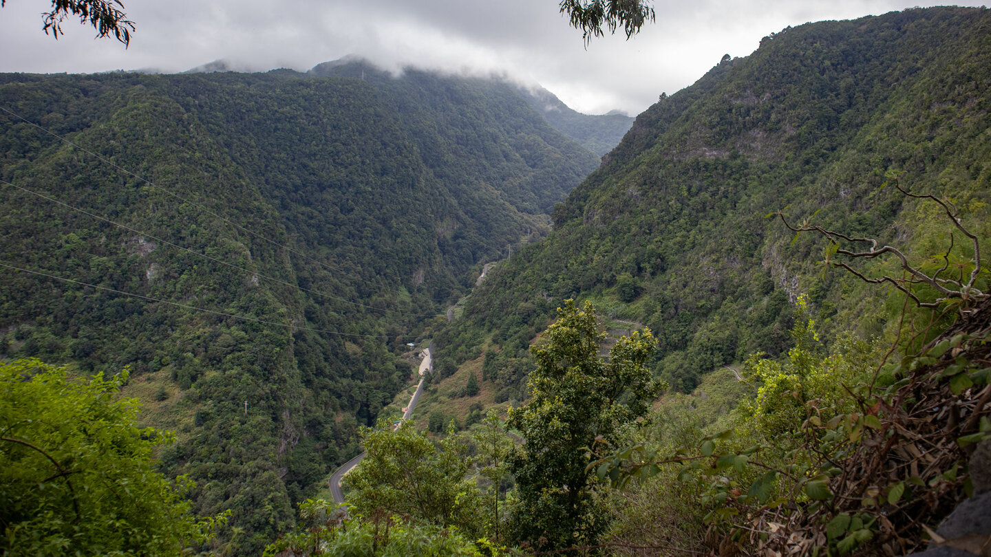 der Bosque de los Tilos im Barranco del Agua