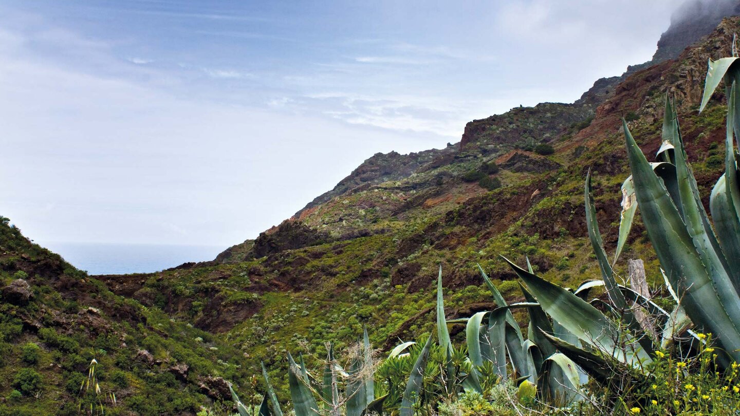 Blick über das Barranco de Afur zum Meer