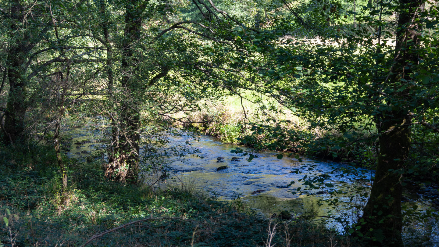 Blick auf den rauschenden Bachlauf der Eyach