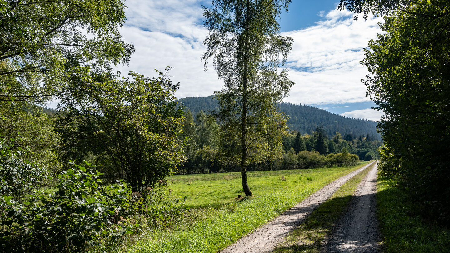 die große Wiese am Zusammenfluß von Eyach und Dürreych