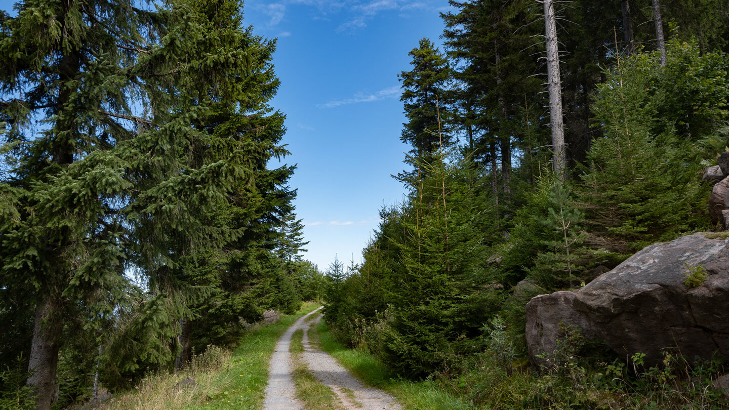 bequemer Wanderweg Richtung Dobel