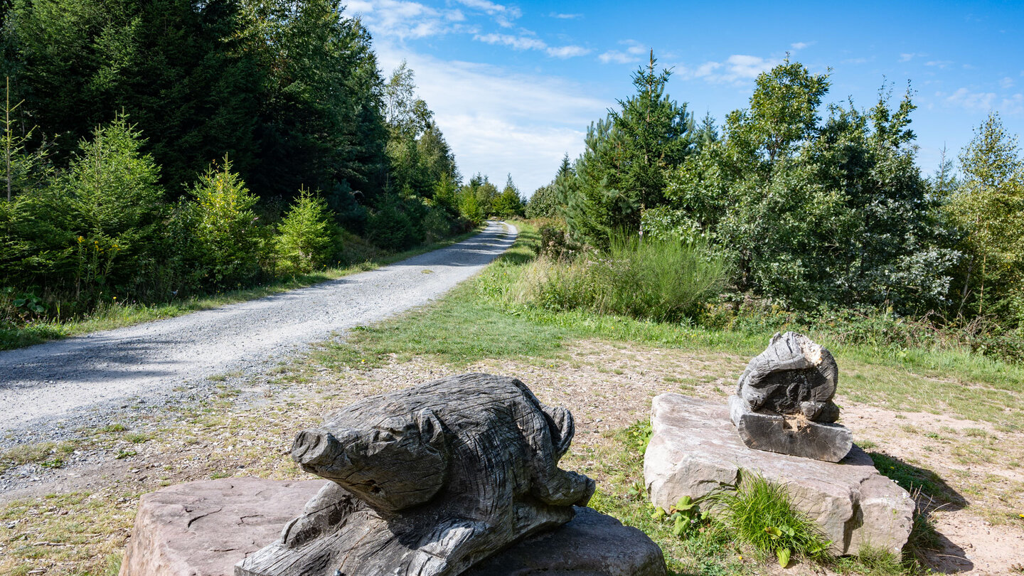 Wildschweinskulpturen am Aussichtspunkt Schweizerkopf