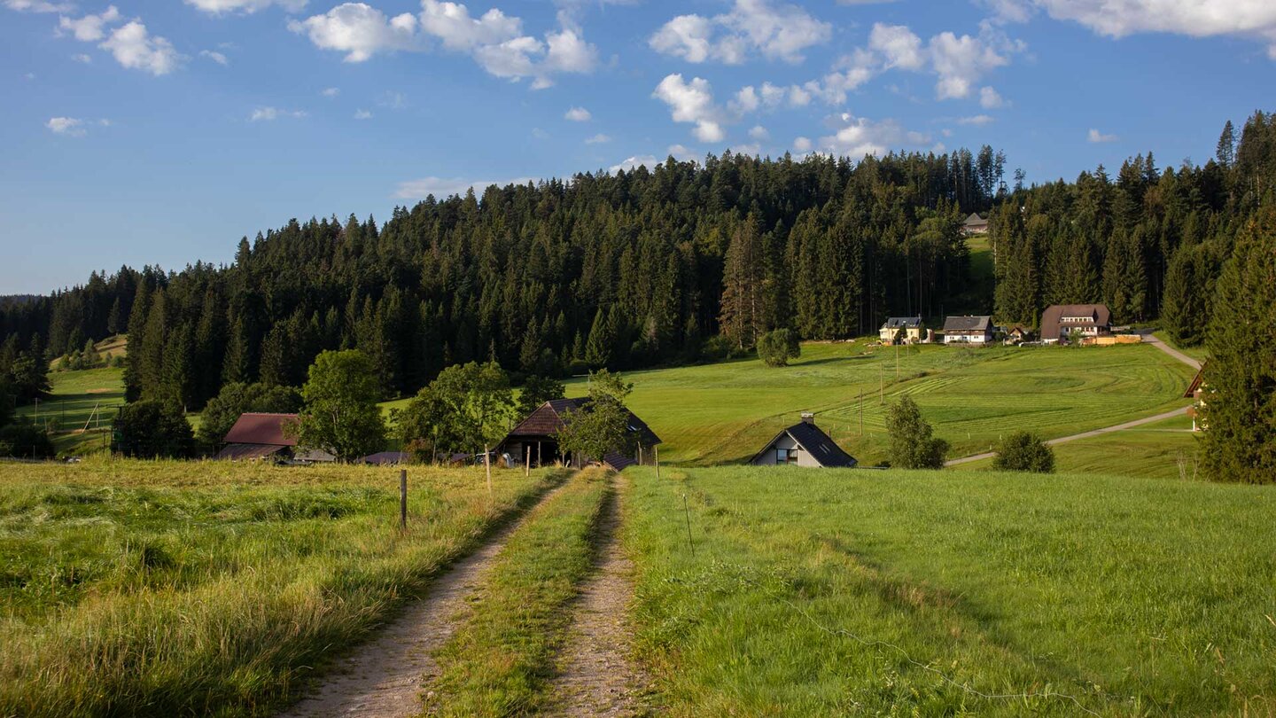 Kulturlandschaft beim Jungholzwald