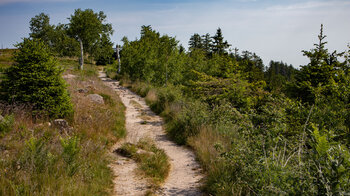 Wegabschnitt des Westwegs auf der Kleinen Grinde