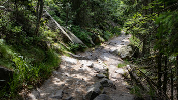 Wanderweg zwischen Hornisgrinde und Mummelsee