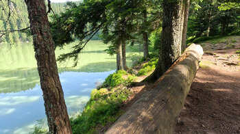 ein Wanderweg führt um den Lac Vert