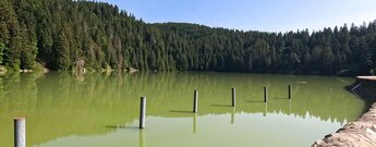 der Grüne See Lac Vert in den Hochvogesen