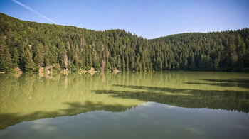 Nadelwälder reichen bis zum Ufer des Lac Vert