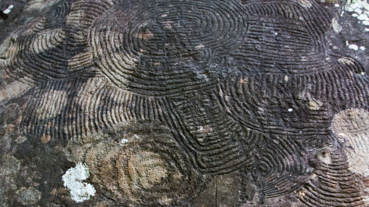 die Felsritzzeichnungen auf La Palma werden als Petroglyphen bezeichnet