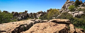 Felsformationen entlang der Ruta Amarilla im El Torcal Felsformationen auf der Ruta Amarilla im El Torcal