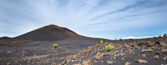 Der Chinyero ist der jüngste Vulkan Teneriffas.