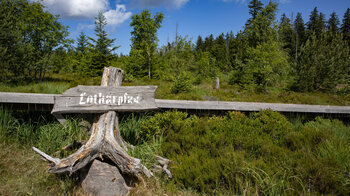 Startpunkt zum Lotharpfad