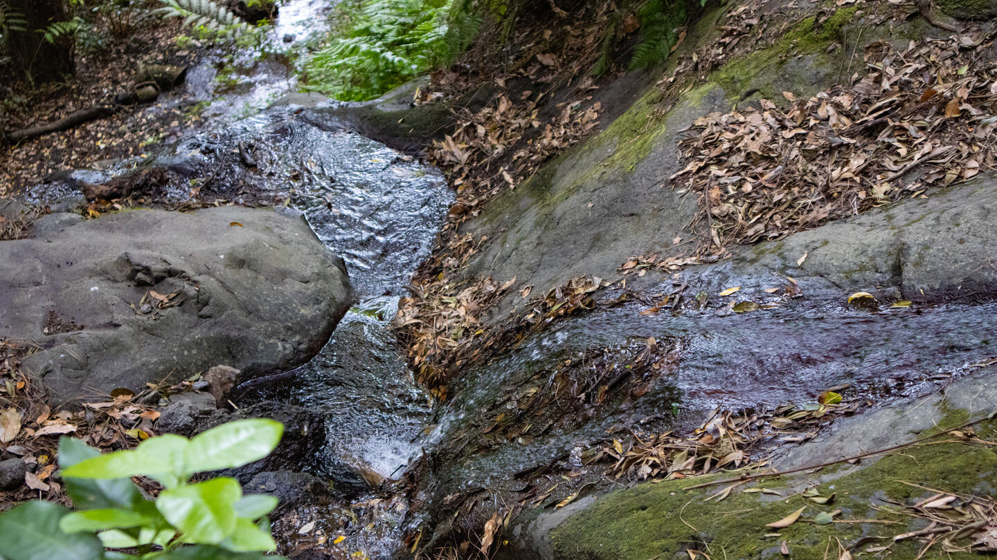 idyllischer Bachlauf am Wasserfall