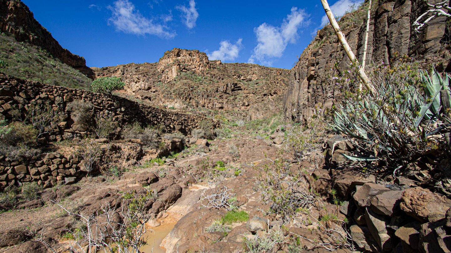 Mauern der einstigen Bewirtschaftung im Barranco de Tenegüime auf Lanzarote