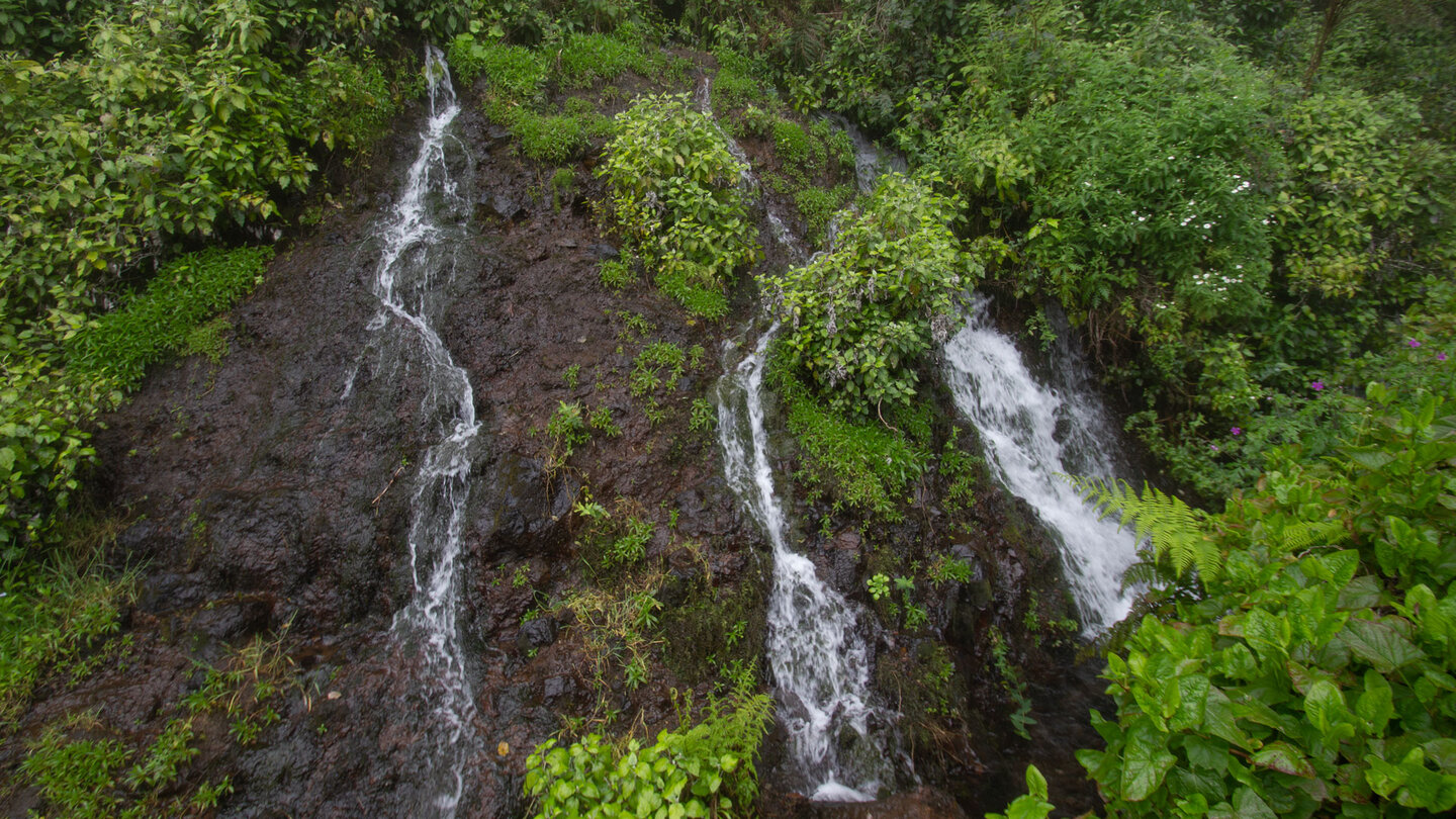 die Cordero Quellen sind ein Highlight der Wanderung