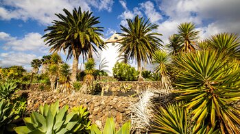 wunderschön angelegter Garten im Museo Agrícola El Patio auf Lanzarote