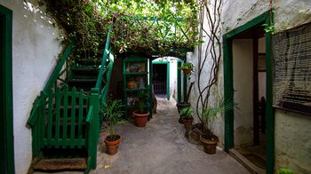 der traditionelle Patio in den typischen Farben im Museo Agrícola El Patio auf Lanzarote