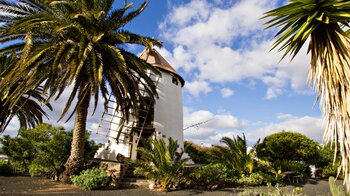 die Windmühle im Museo Agrícola El Patio auf Lanzarote