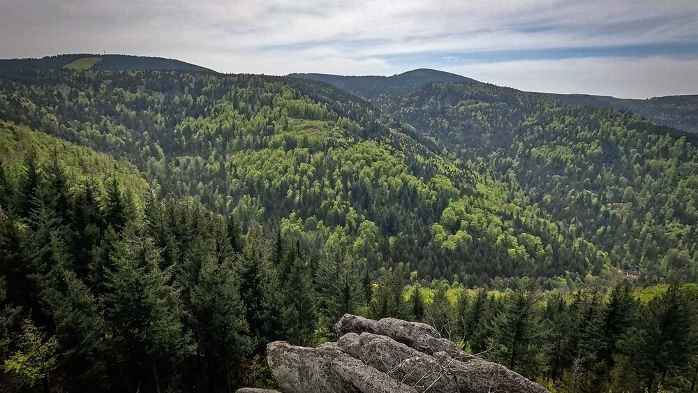 Aussichtspunkt Herta-Hütte mit Blick auf den Nordschwarzwald