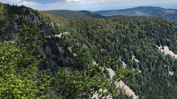 Blick auf Blockhalden vom Sentier des Roches