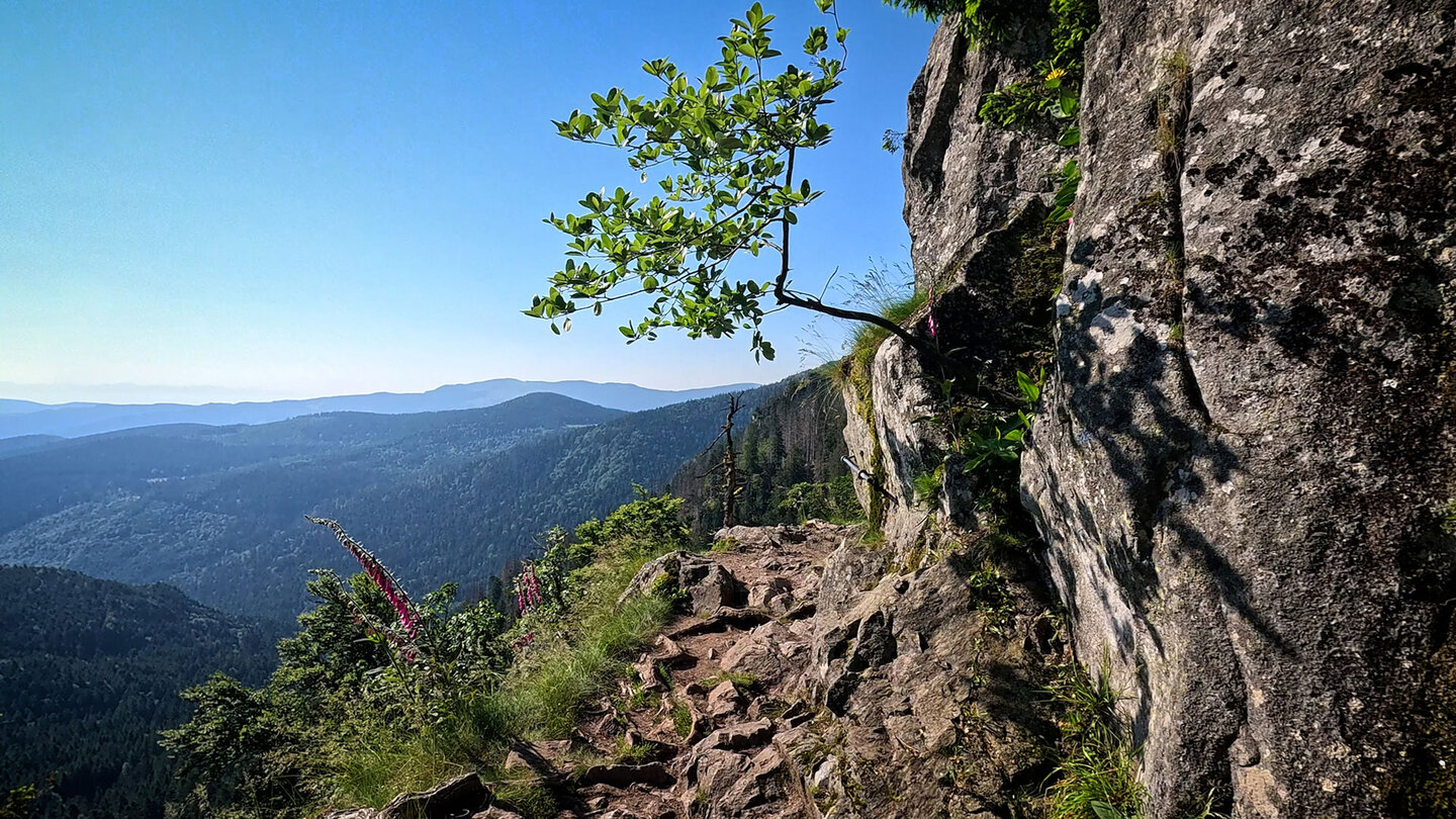 Felsenpfad Sentier des Roches mit Panorama