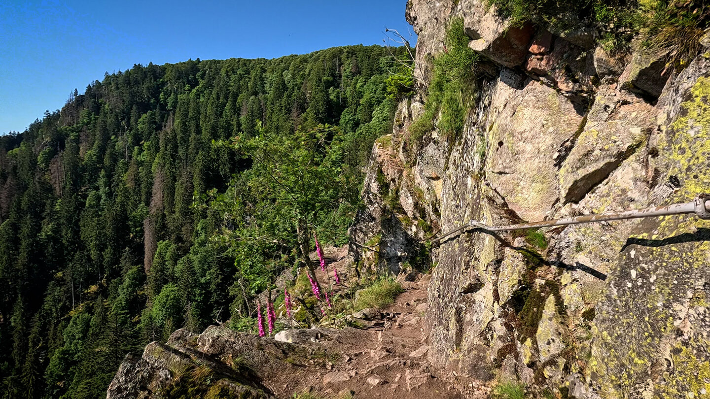 gesicherter Pfad des Sentier des Roches in Richtung Krappenfelsen