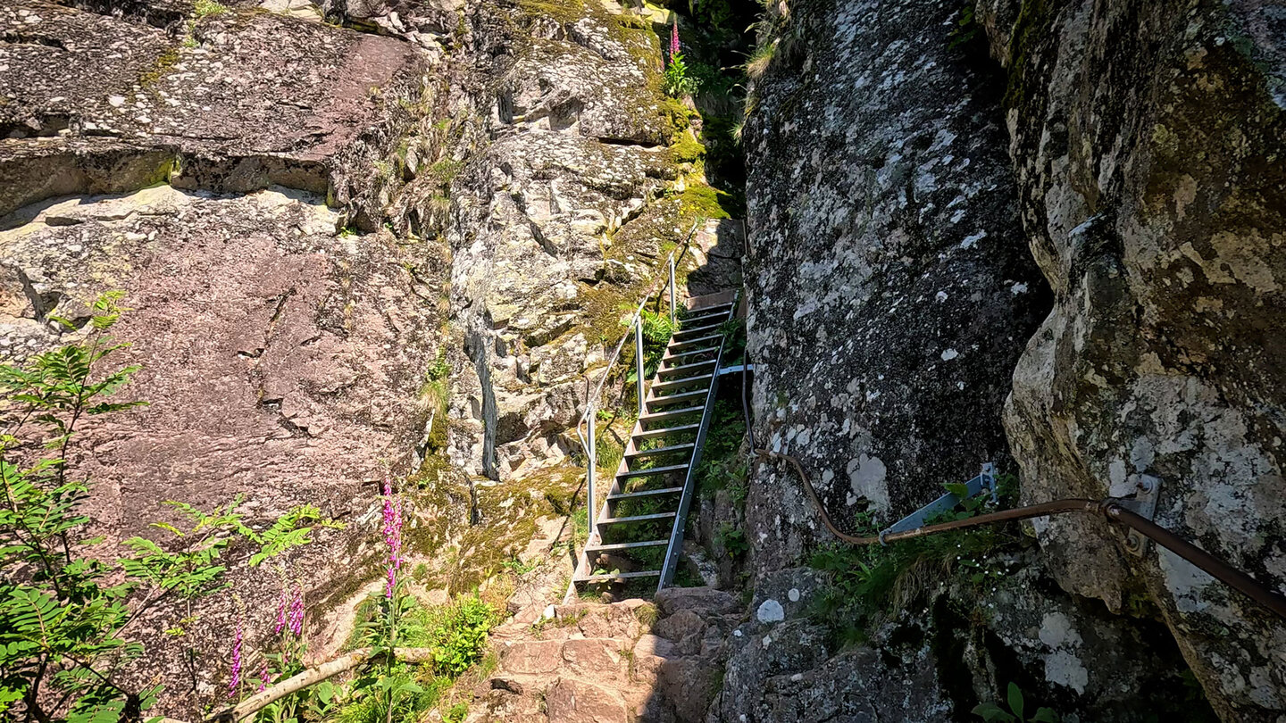 Treppe Felstunnel am Sentier des Roches