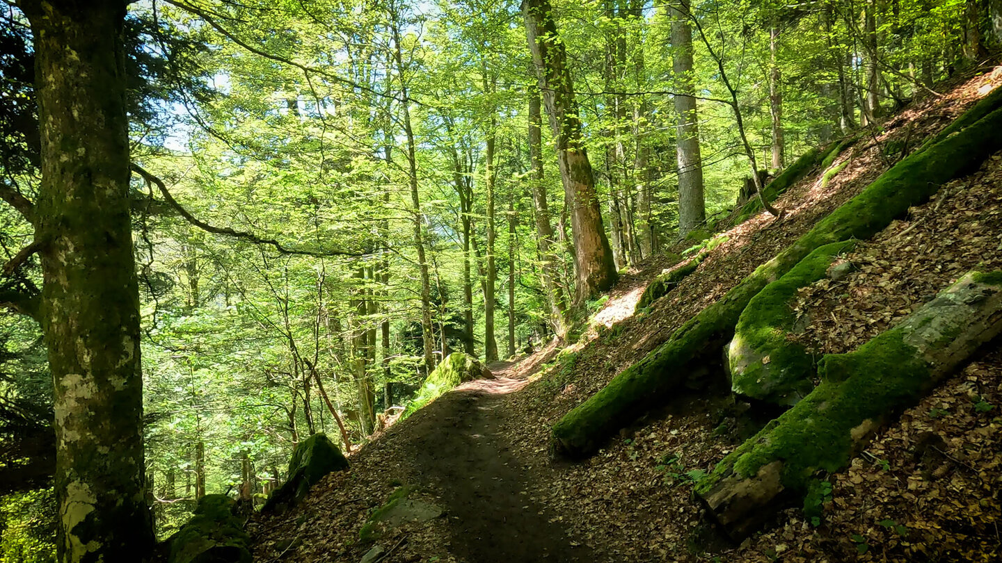 Sentier de la Bloy in Richtung Frankenthal