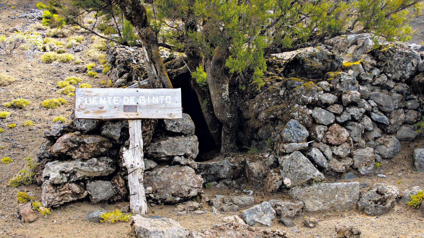 Baumheidebüsche an der Quelle Fuente de Binto