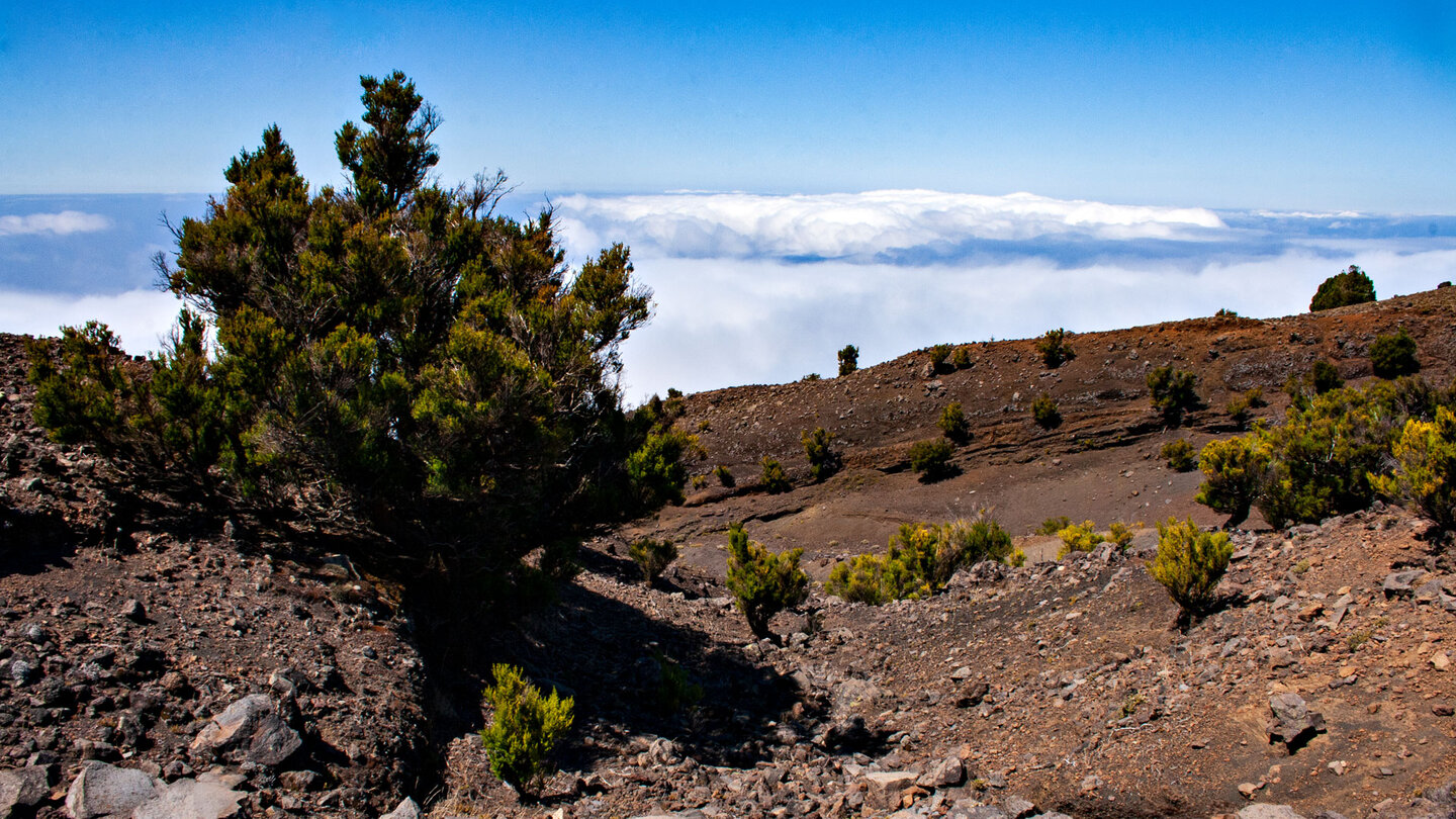 der Wanderweg wird in den Höhenlagen teils von karger Erosionslandschaft begleitet