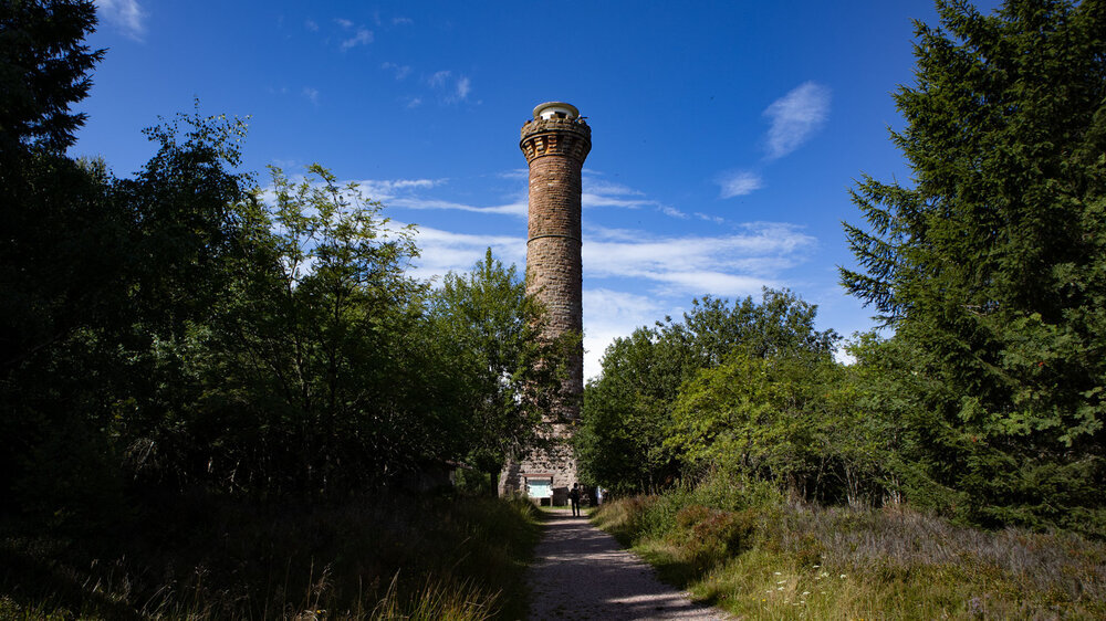 Der Hohlohturm mit Wanderweg