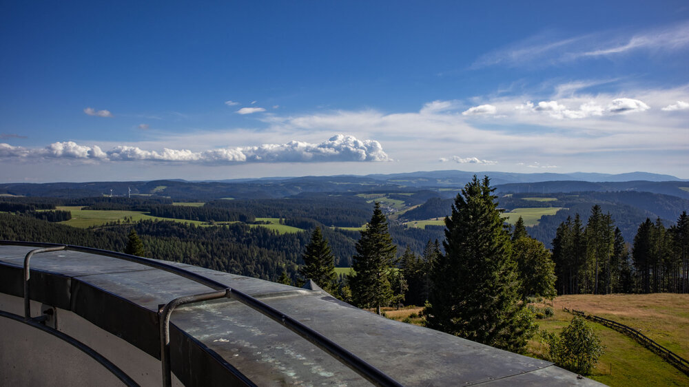 Aussicht mit Alpenpanorama bei guter Sicht.