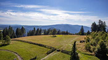 Aussicht über den Schwarzwald vom Brend