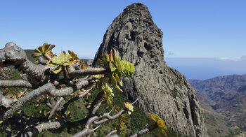 der Roque de Agando thront über dem Barranco de Benchijigua an den Miradores de Los Roques auf La Gomera