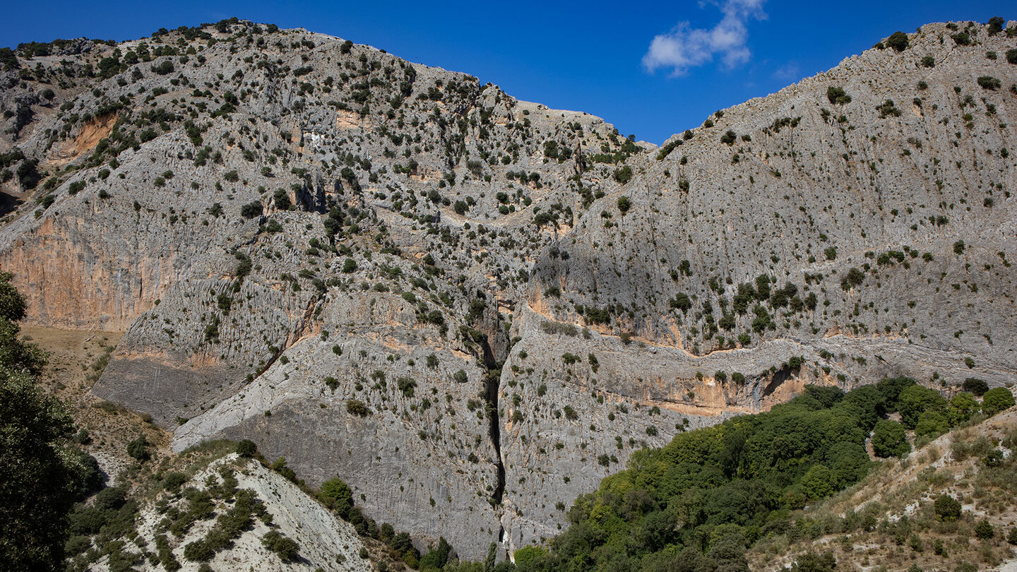 Schlucht Cerrada de Túnez