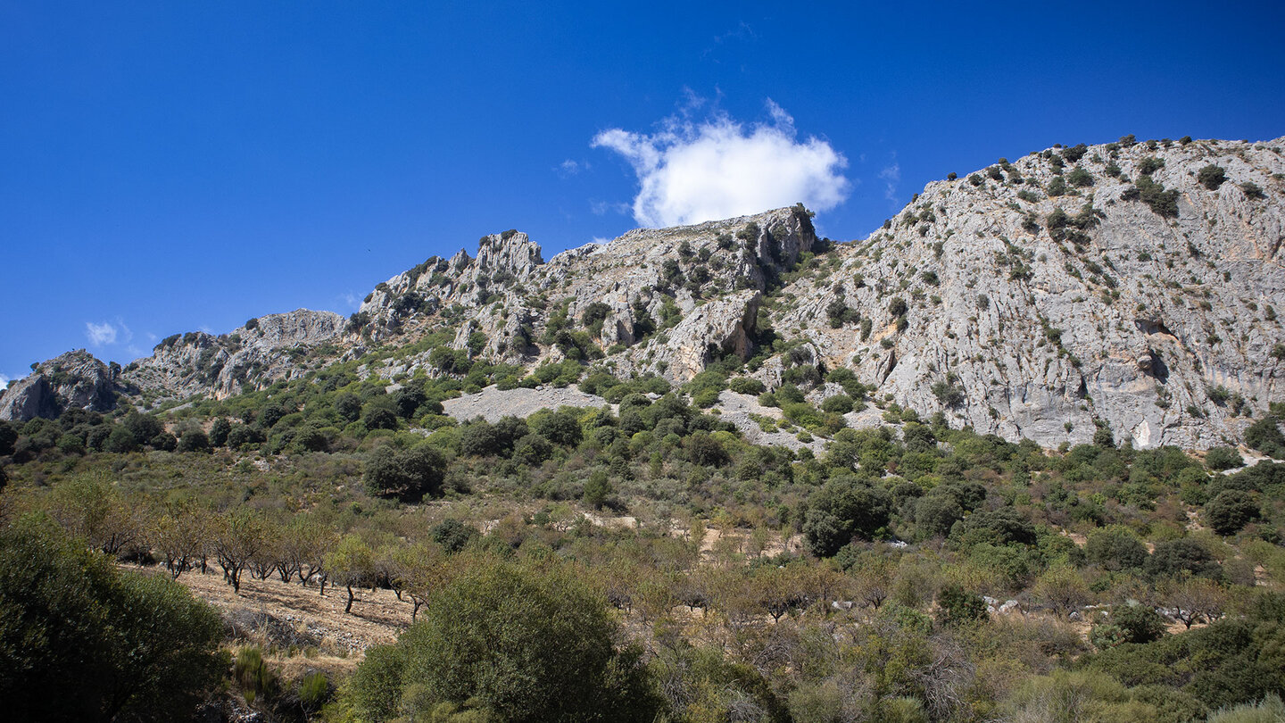 zerklüftete Bergspitzen der Sierra de Castril