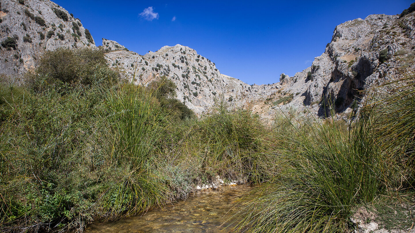 Wanderweg am Bachlauf des Río Castril