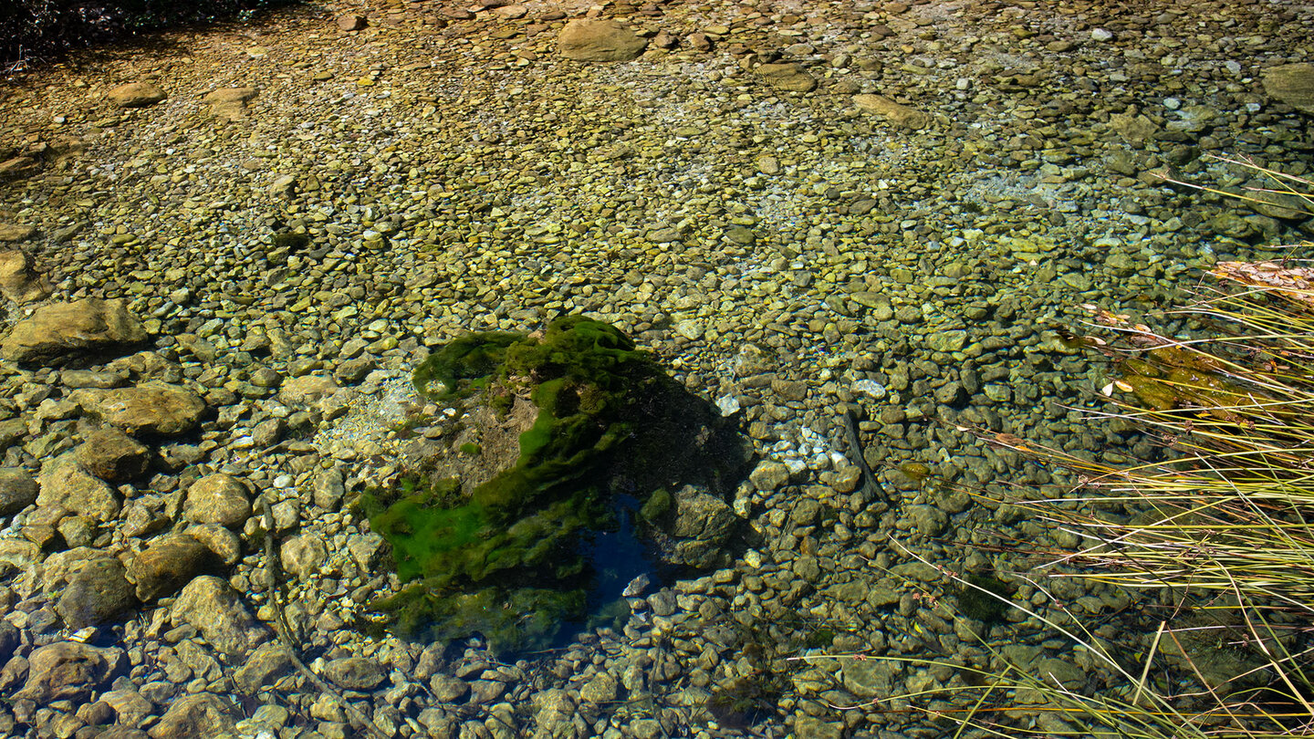 klares Wasser des Río Castril