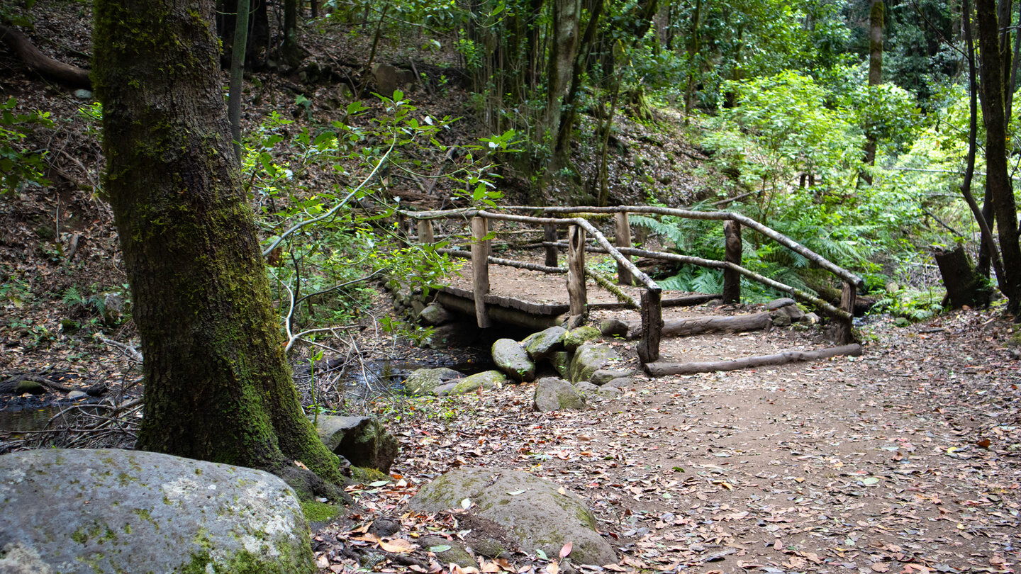 Bachquerung über Holzbrücken im Barranco del Cedro