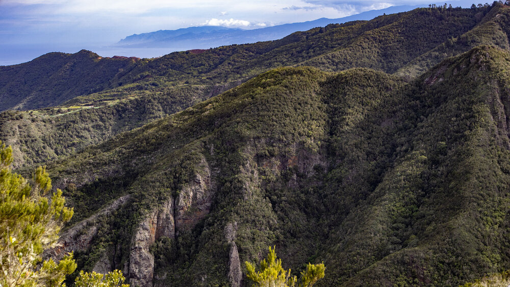 Ausblick bis in das Anaga-Gebirge vom Camino de Talavera