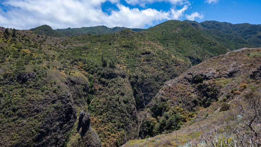 wandern am Schlucht Los Cochinos beim Monte del Agua