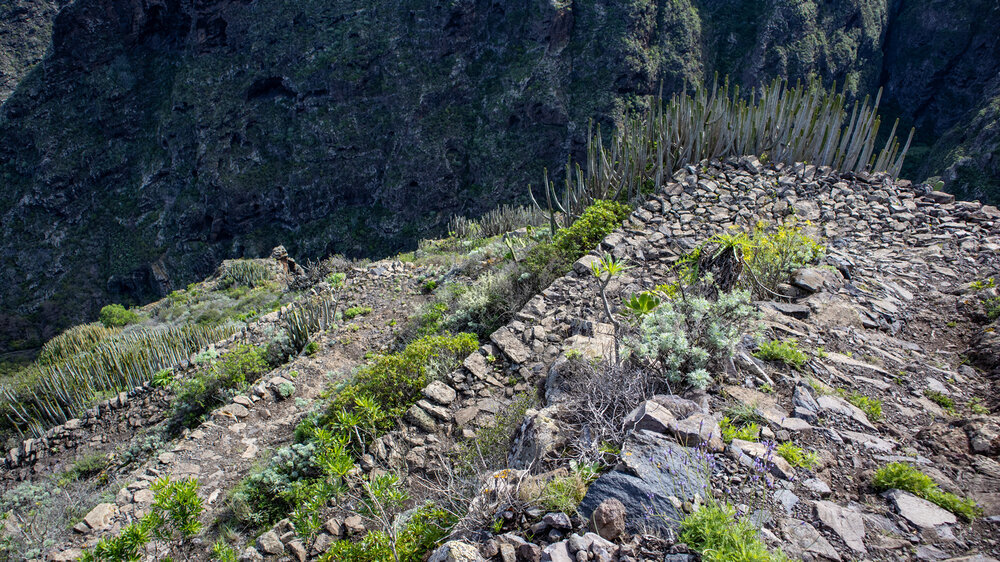 der Camino de Talavera ist alter gepflasterter Wanderweg