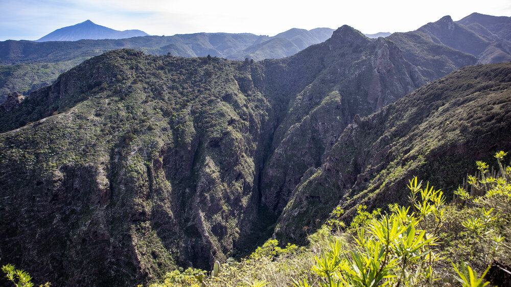 Barranco de los Pasos o de Blas mit Teide im Hintergrund