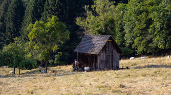 typische Heuhütten im Kauersbachtal