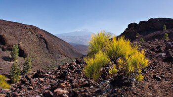 Blick über den Gipfel des Montaña Sámara auf Teneriffa