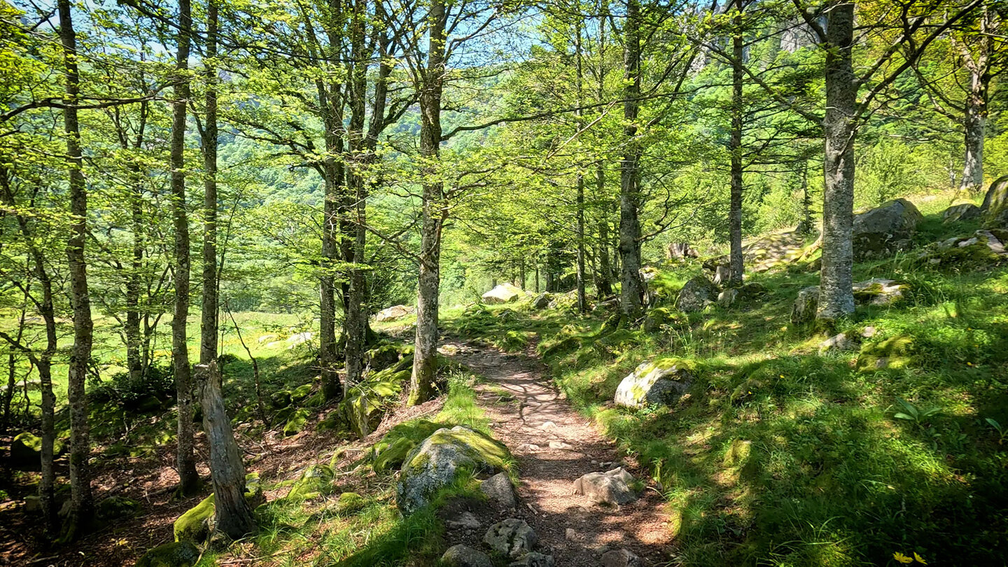 der Sentier du Falimont führt durch ein kleines Naturschutzgebiet