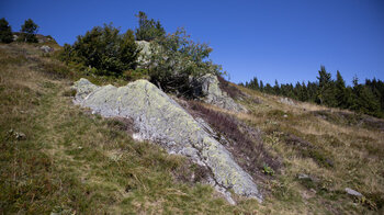 Felslandschaft am Feldberg im Schwarzwald