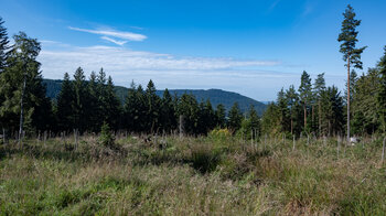 Ausblick vom Wanderweg zwischen Dobel und Weithäsleplatz